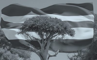 Expansion Into Gambia!